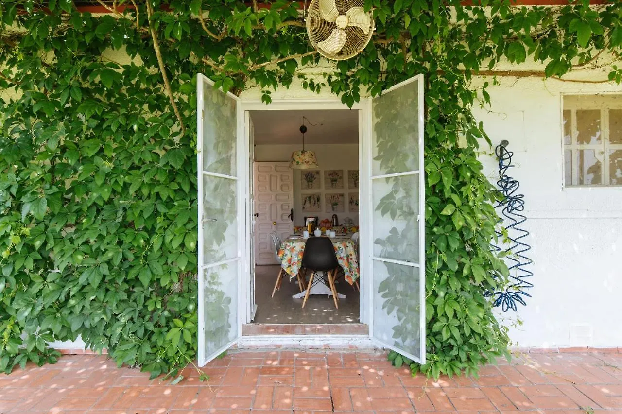 La Casita De Hato Pinos, Un Rincon En Donana Aznalcazar 0*,  Spain